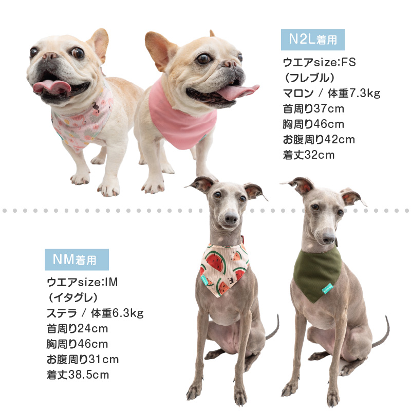 full of vigor 犬 クールネック 全犬種対応 夏 接触冷感 防蚊 柄