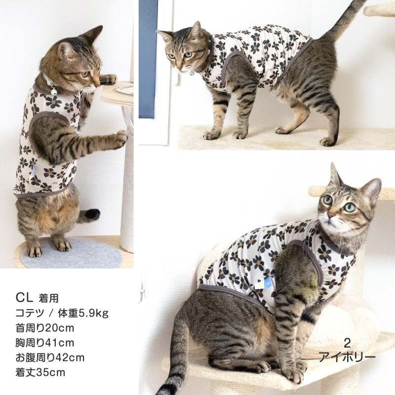 full of vigor（フルオブビガー） 猫 服 過剰グルーミング 高齢 シニア