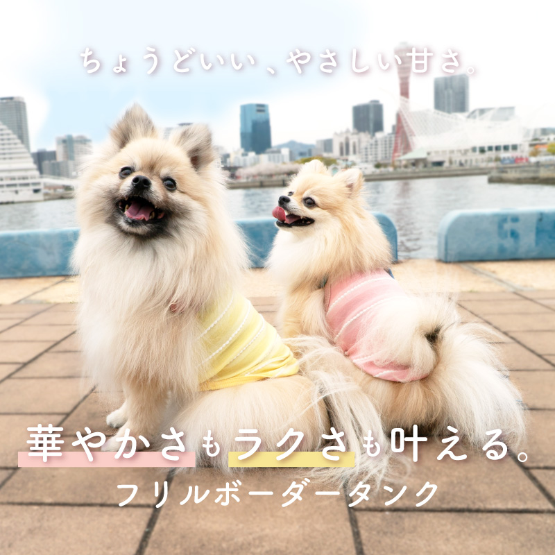 full of vigor（フルオブビガー） 犬 服 夏 フリル ボーダー 天竺