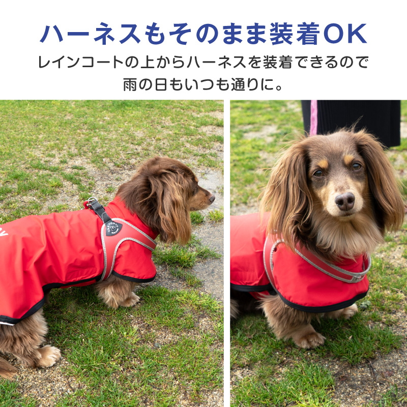 シャカシャカ 音がしない 犬 服 夏 かぶるだけ ワンタッチ 防水 ドッグプレイ(R) 裏メッシュ レインコート ダックス 小型犬用 | full of vigor | 11