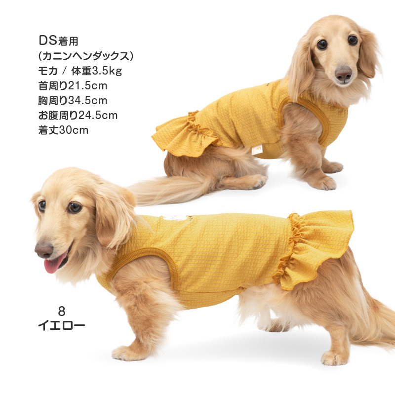 犬 服 夏 やわらか 涼感 サッカー ストライプ おそろコーデ ワンピース ダックス 小型犬用 抜け毛対策 女の子 伸びる素材 伸縮性 | full of vigor | 09