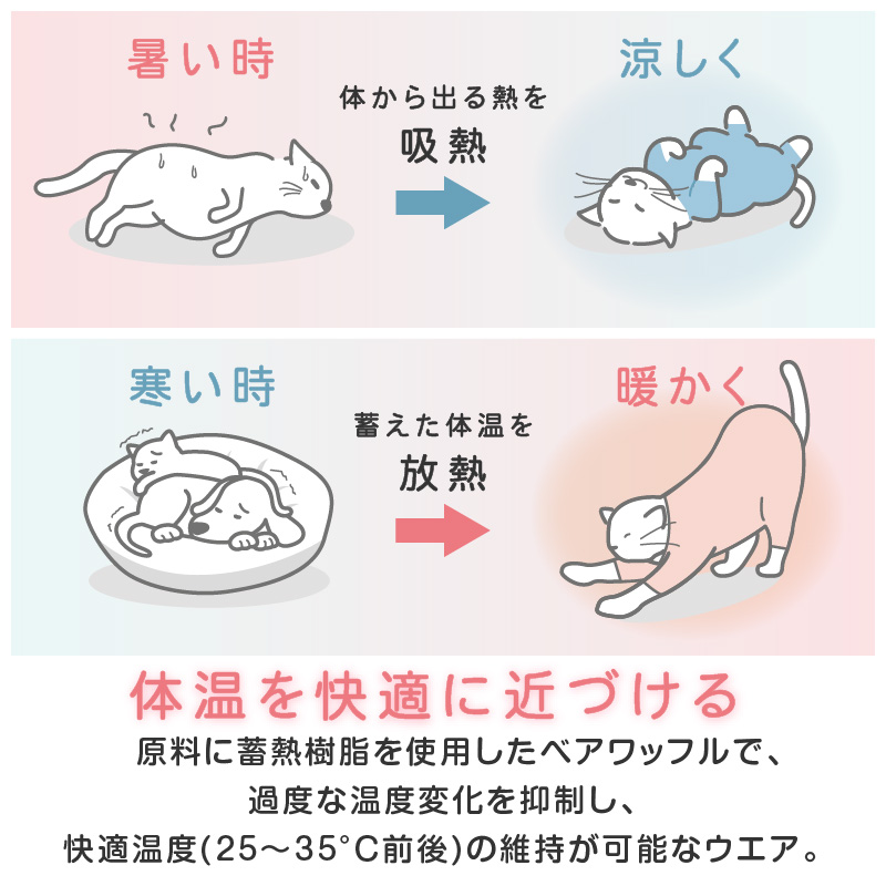 猫 服 過剰グルーミング 高齢 シニア 舐め壊...の詳細画像1