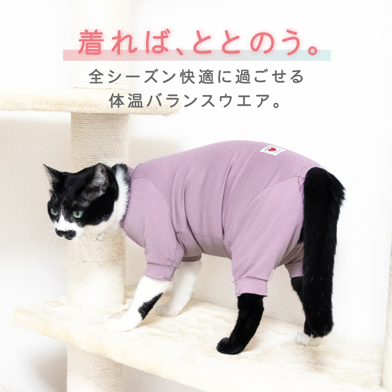 猫 服 過剰グルーミング 高齢 シニア 舐め壊...の詳細画像2