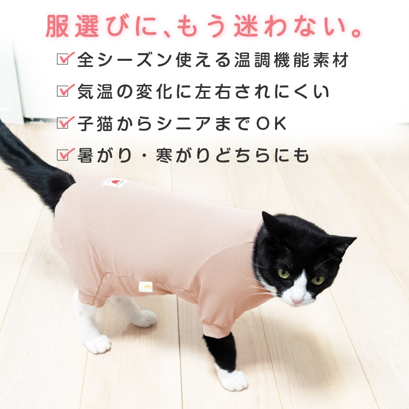 猫 服 過剰グルーミング 高齢 シニア 舐め壊...の詳細画像4