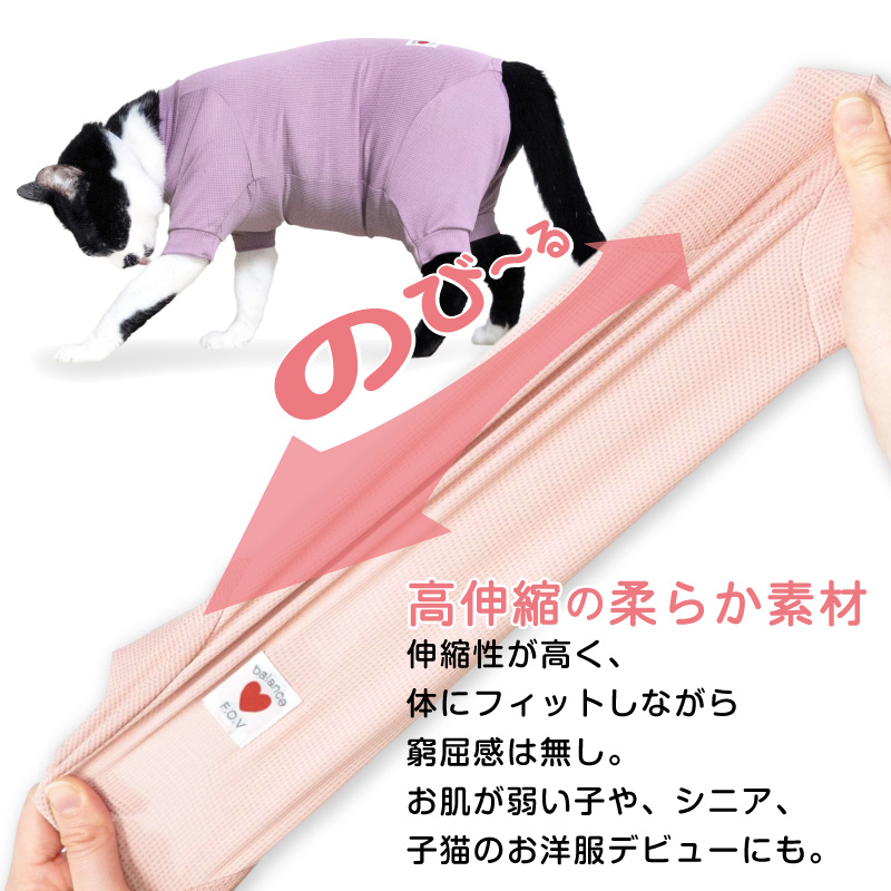 猫 服 過剰グルーミング 高齢 シニア 舐め壊...の詳細画像5