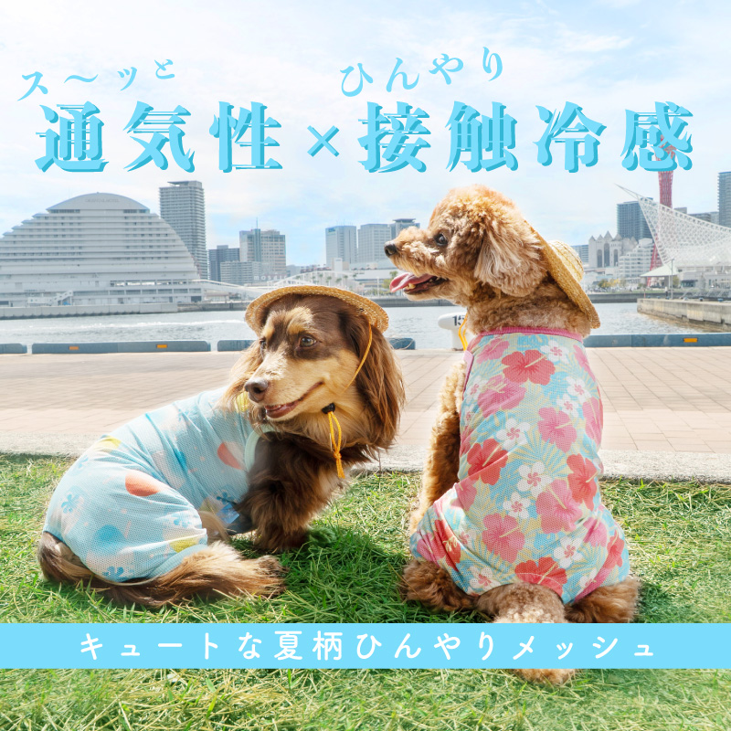 full of vigor（フルオブビガー） 犬 服 春 バラエティ 柄 接触冷感
