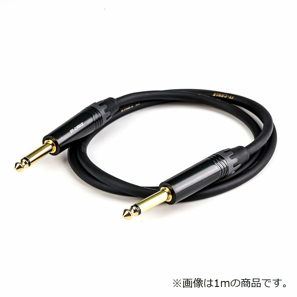 【気質アップ】 ギターケーブル 楽器 | FT-CABLE ヒビノ S-S 1m ギターシールド ギター