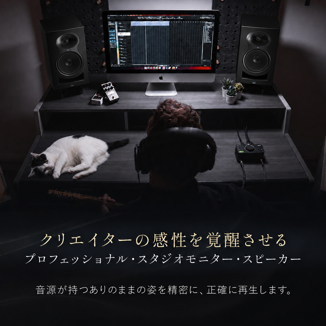 7月入荷予定 Kali Audio LP-6 V2 プロフェッショナル・スタジオ