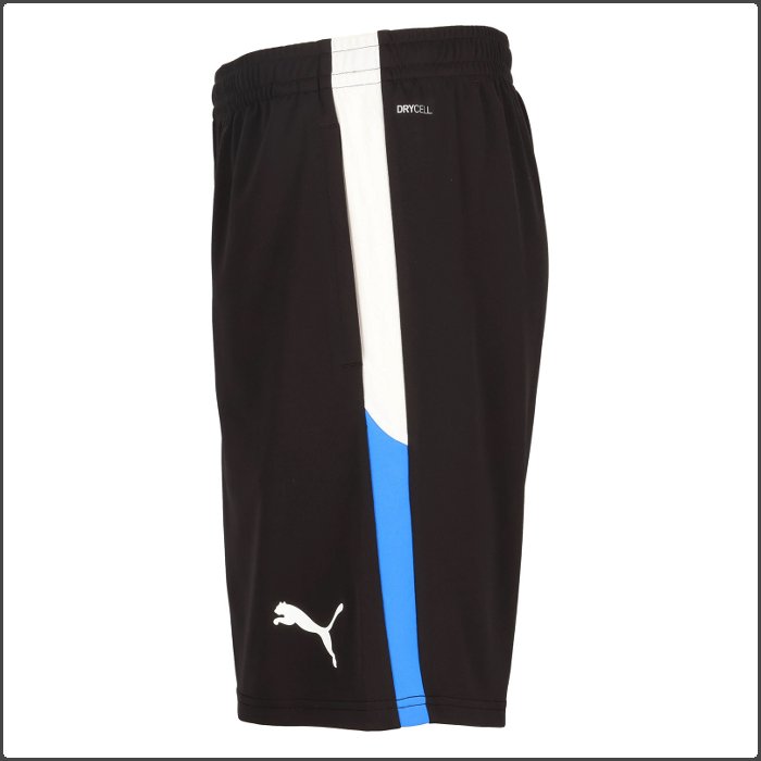 PUMA（プーマ） 爆買 メンズ 上下セット 半袖 シャツ ハーフパンツ