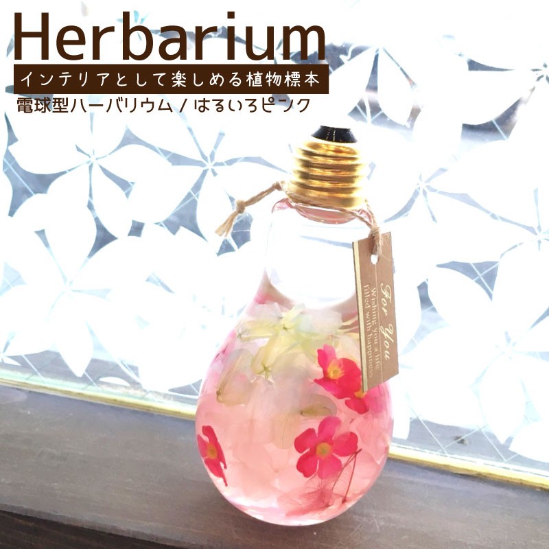 ハーバリウム Herbarium プリザーブドフラワー 電球 瓶 ボトル 植物標本 ギフト 花 (お花部-Ohanabu-) : oh-14-298  : Fun daily - 通販 - Yahoo!ショッピング