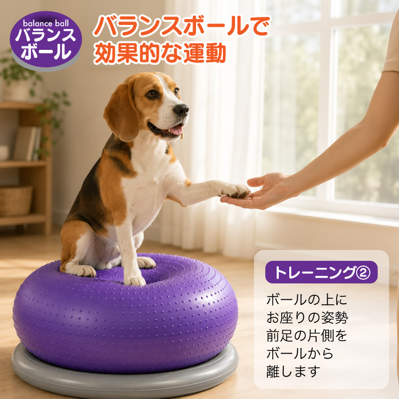 FUNKS バランスボール 犬 筋トレ 体幹トレーニング ドーナツ型 健康