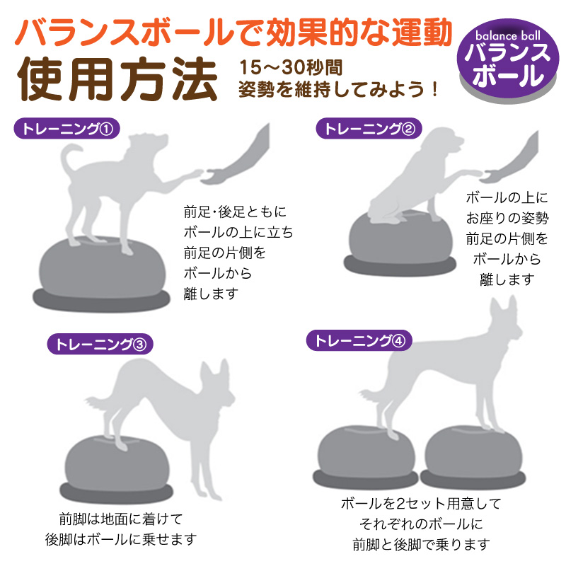 FUNKS バランスボール 犬 筋トレ 体幹トレーニング ドーナツ型 健康