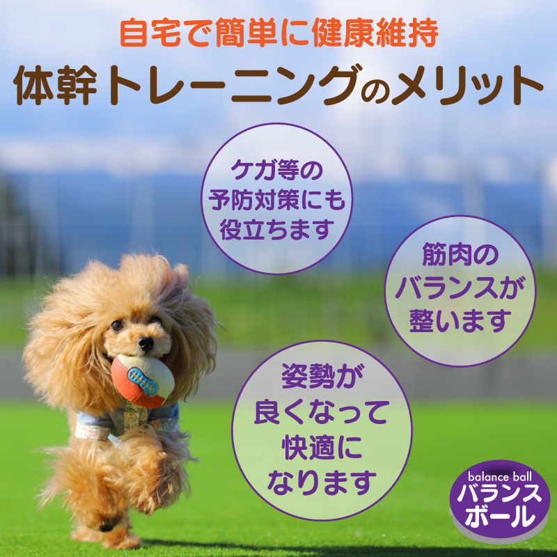 FUNKS バランスボール 犬 筋トレ 体幹トレーニング ドーナツ型 健康