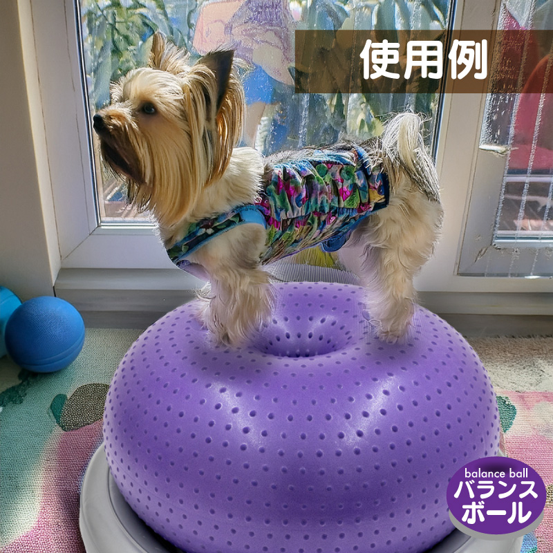 FUNKS バランスボール 犬 筋トレ 体幹トレーニング ドーナツ型 健康