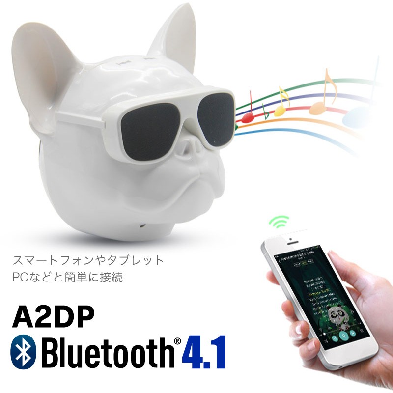 aerobull ストア スピーカー 使い方