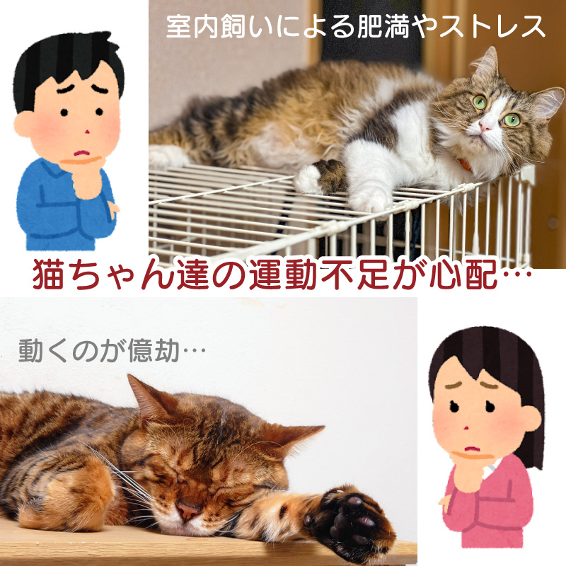 一年保証 FUNKS キャットホイール 猫 キャットランナー 90cm 自走式 