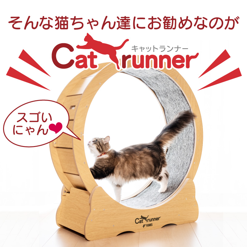 一年保証 FUNKS キャットホイール 猫 キャットランナー 90cm 自走