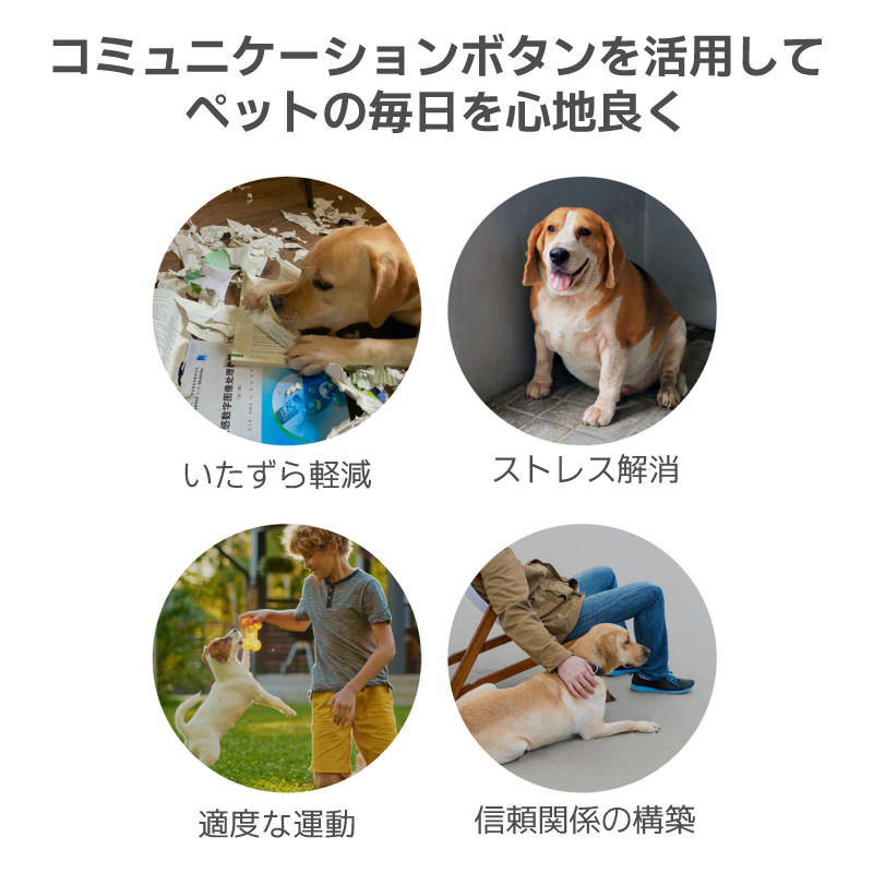 犬 コミュニケーション ボタン 1個入り ペット コミュニケーション