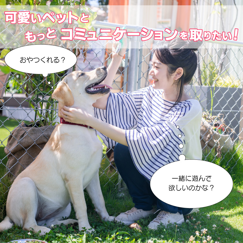 犬 コミュニケーション ボタン ペット コミュニケーションボタン 犬