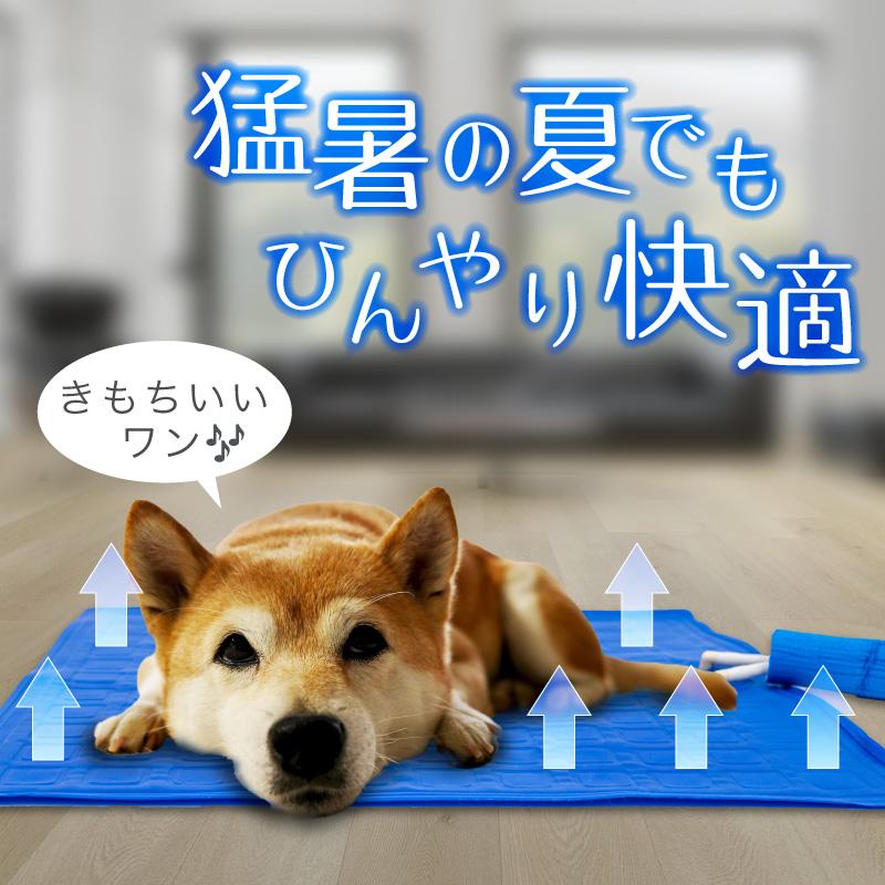 ペット 冷却マット 電気 電気式 水冷 水冷式 犬猫用 アウトドア キャンプ クールマット 冷感 マットレス 商品情報 電気式ひんやり冷却マット54cm × 55cm長時間連続使用OK家庭用100 ペット 冷却マット 電気 電気式 水冷 水冷式 犬猫用 アウトドア キャンプ クールマット 冷感 マットレス 商品情報 電気式ひんやり冷却マット54cm × 55cm長時間連続使用OK家庭用100
