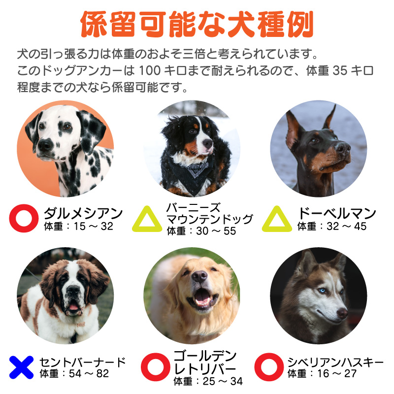 FUNKS ドッグアンカー 不動 犬用アンカー ドッグポール 大型犬 大型犬用 杭 係留 キャンプ :dog-anchor:ファンクスストア - 通販  - Yahoo!ショッピング