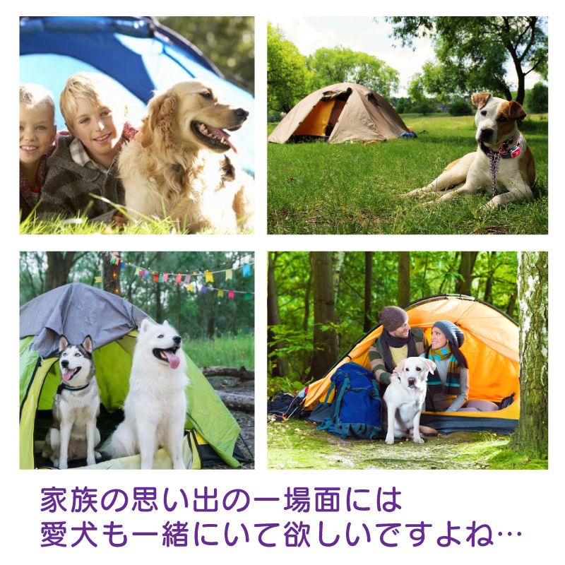 FUNKS ドッグアンカー 不動 犬用アンカー ドッグポール 大型犬 大型犬用 杭 係留 キャンプ :dog-anchor:ファンクスストア - 通販  - Yahoo!ショッピング