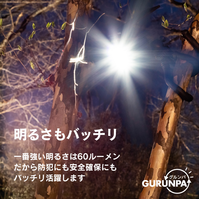 FUNKS センサーライト 巻きつけ ソーラー ソーラーライト 巻き付け 自在アーム 人感センサーライト グルンパ gurunpa |  | 09