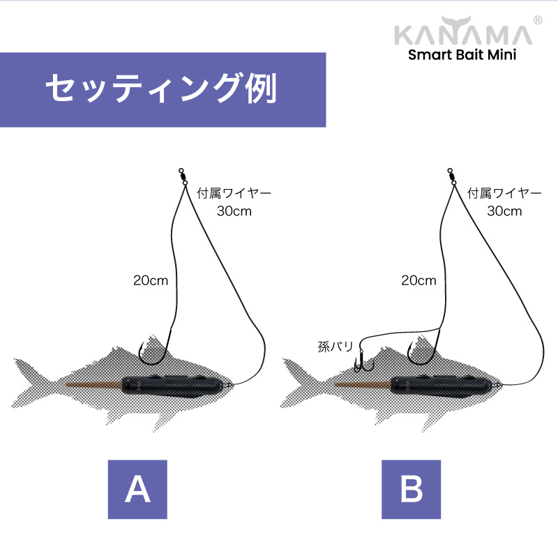 日本初上陸！正規販売店 KANAMA スマートベイト ミニ Smart Bait