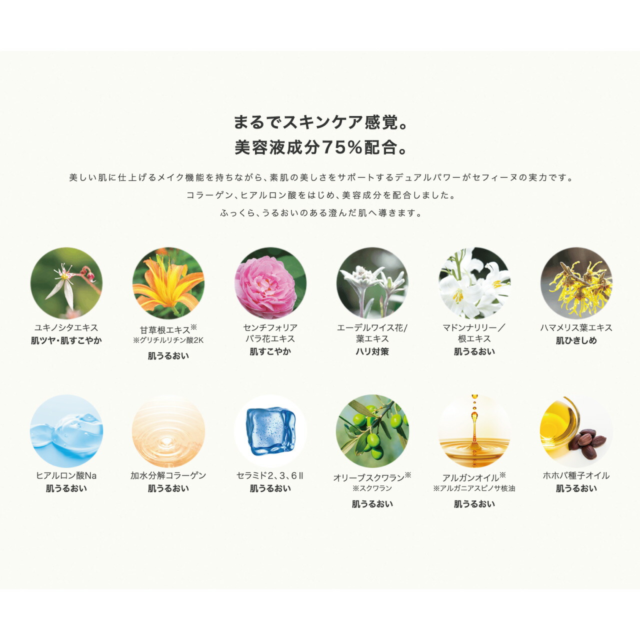 CEFINE セフィーヌ シルキースキンケア リクイド 30g 液体 ファンデーション 下地 スキンケア 透明感 保湿 ツヤ カバー力 キープ力 正規品 | CEFINE | 09