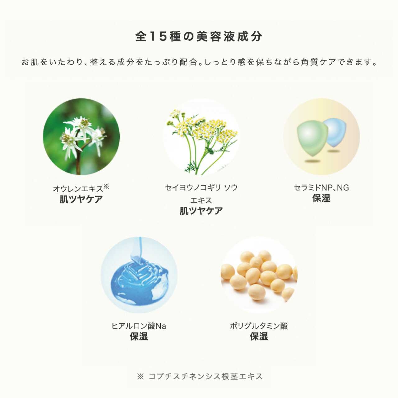 CEFINE セフィーヌ ハーブクリアジェル ピュア 120g 角質ケア 毛穴 くすみ対策 敏感肌 保湿 ピーリングジェル 日本製 正規品 | CEFINE | 03