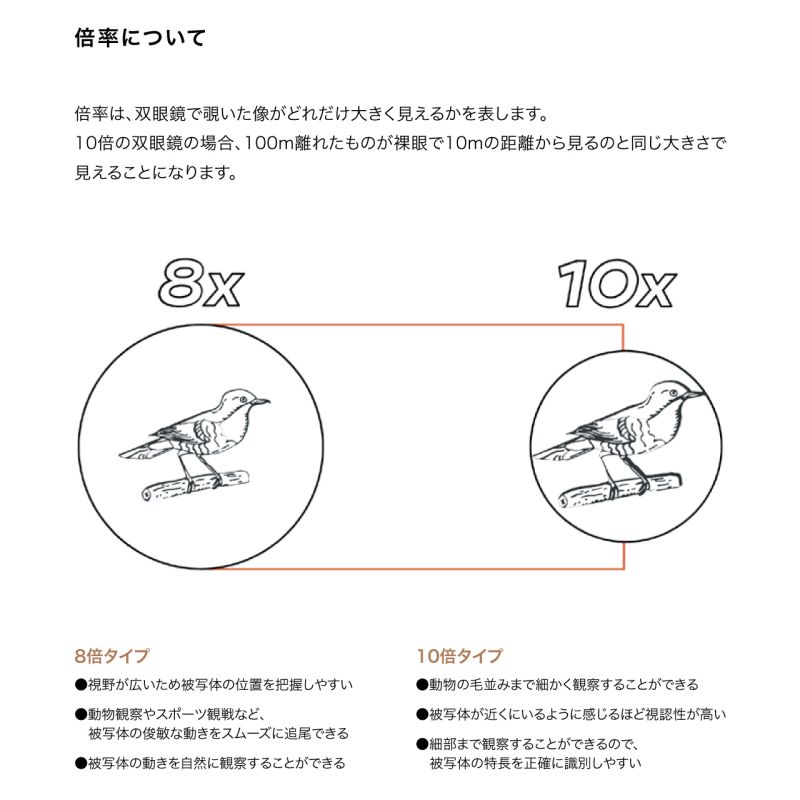 【Newカラー】ノックスプロヴィジョンズ Nocs Provisions 双眼鏡 8倍 防水 スタンダードイシュー 8×25 アウトドア キャンプ バ |  | 12