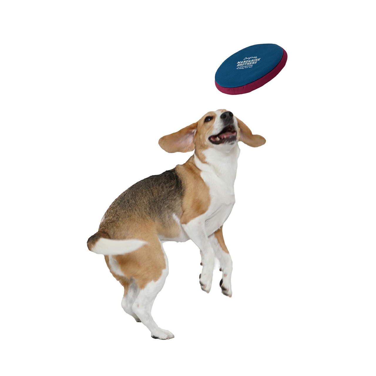 犬 犬用 おもちゃ 玩具 MB FLYING DISC TOY フリスビー ディスク