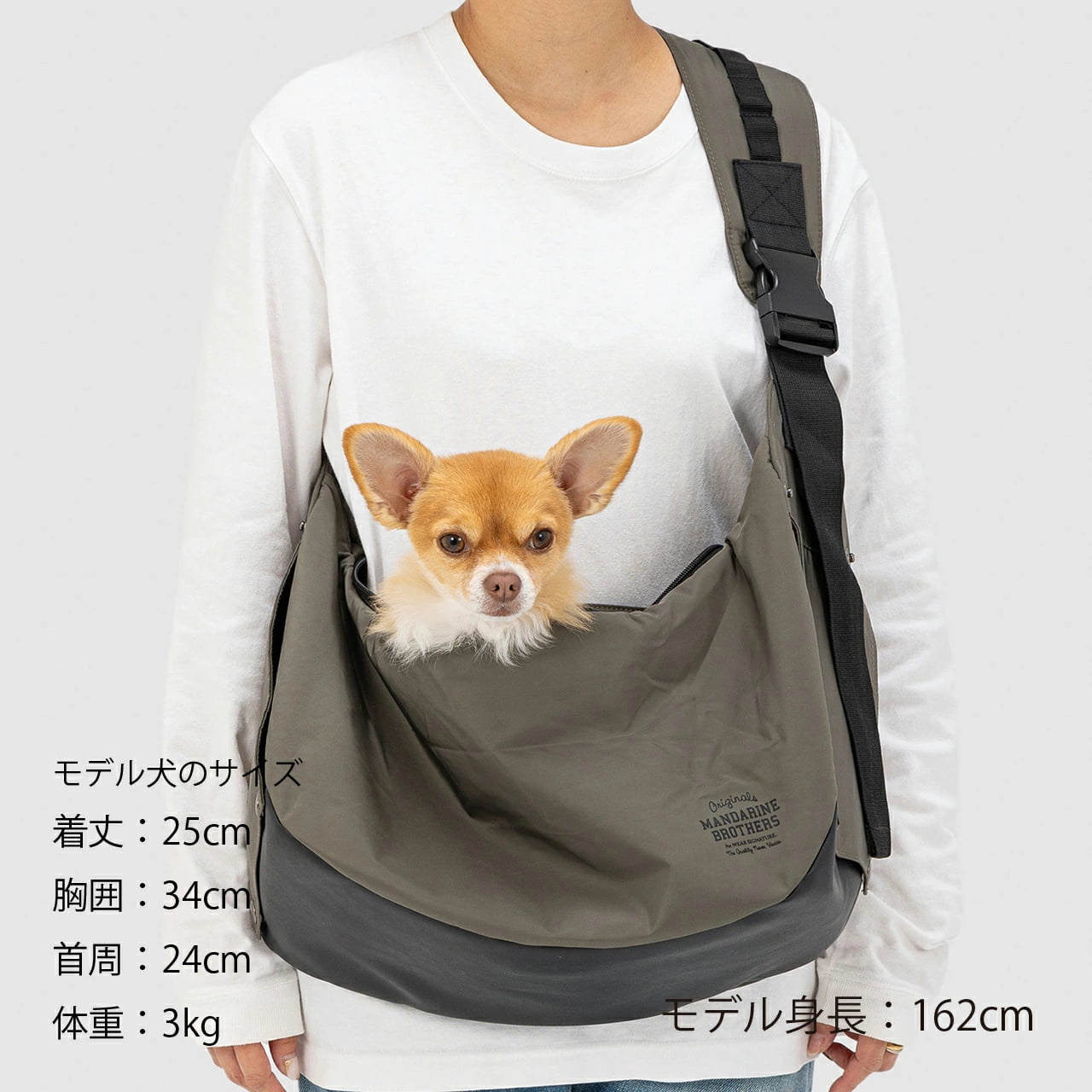 sleeveshoulder2026_13.jpg