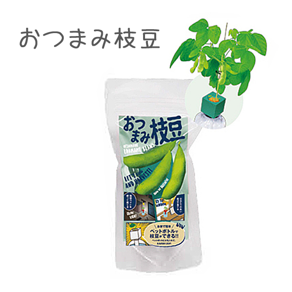 ペットボトル栽培セット グリーントイ 家庭菜園 簡単 野菜 果物 水耕栽培 子供と 育てる 食育 Ba001 Funny Honey 通販 Yahoo ショッピング ペットボトル栽培セット グリーントイ 家庭菜園 簡単 野菜 果物 水耕栽培 子供と 育てる 食育 Ba001 Funny Honey 通販 Yahoo ショッピング