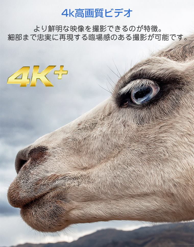 ビデオカメラ 4K CMOSセンサー 4800万画素 16倍ズーム YouTubeカメラ