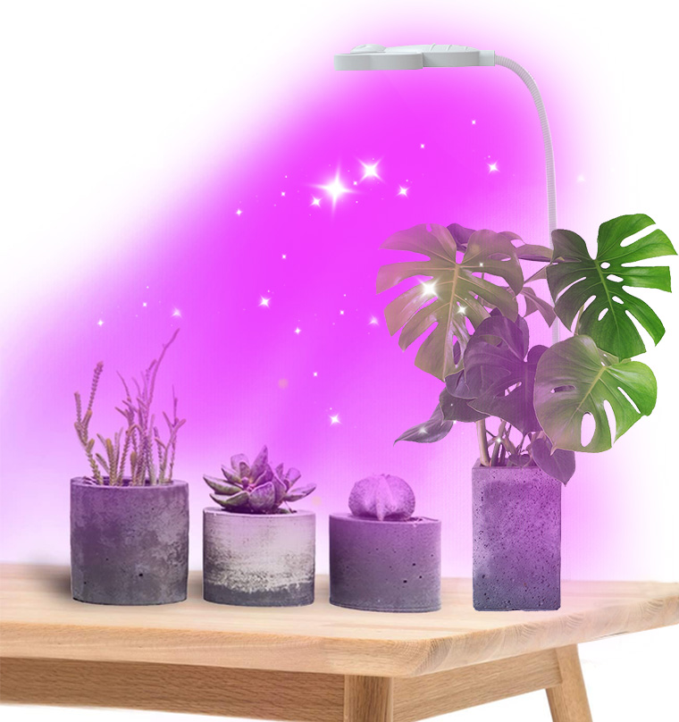 植物育成ライト led おしゃれ タイマー 植物育成LED 多肉植物 観葉植物