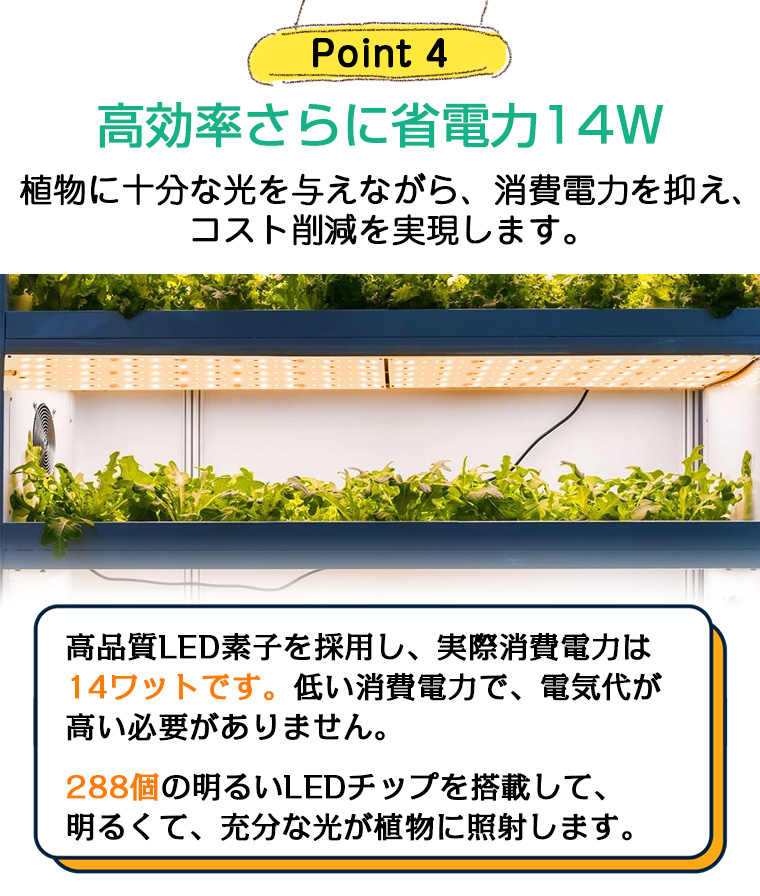 植物育成ライト LED フルスペクトル タイマー機能付き パネル 4ヘッド式 288個 屋内 屋外用 観葉植物 多肉植物 植物育成ライト LED 育成ライト 植物ライト |  | 09