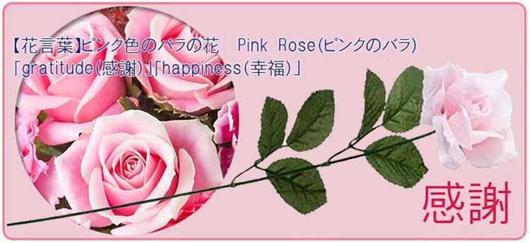 敬老の日特選 白河ラーメン6食 バウムクーヘン2pをセット 花言葉が感謝のピンクのバラの花を添えて Keirou Sr Baumu2 ふれあいギフト 通販 Yahoo ショッピング