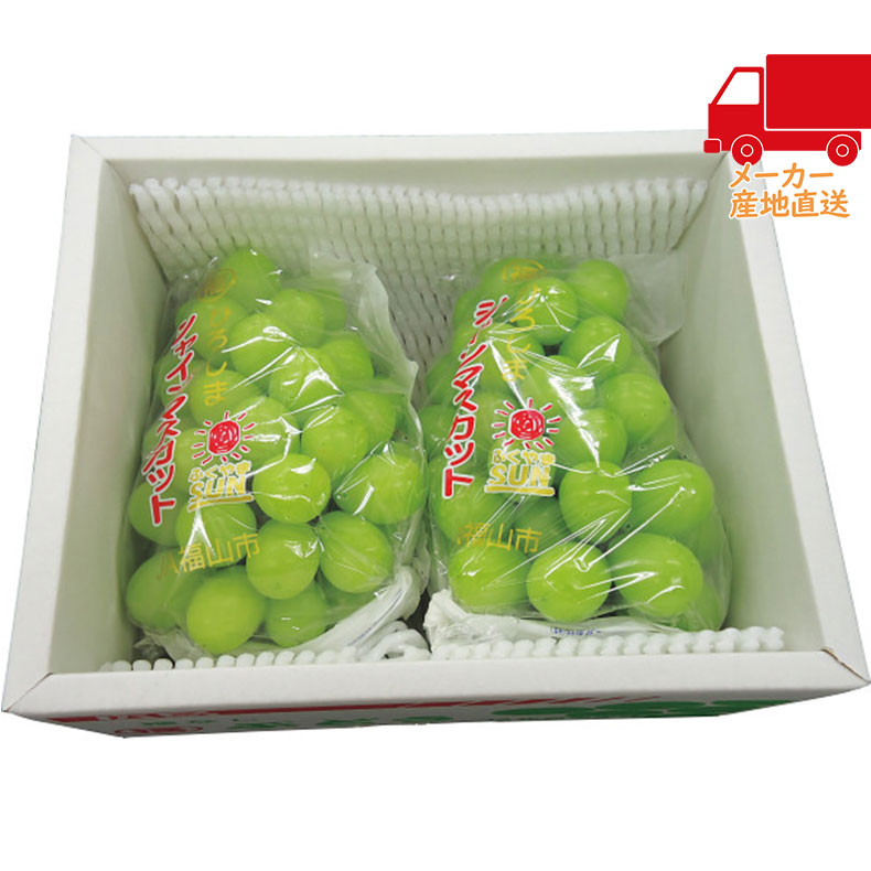 広島県産　シャインマスカット（2房・800ｇ）食料品 産直農産 ぶどう