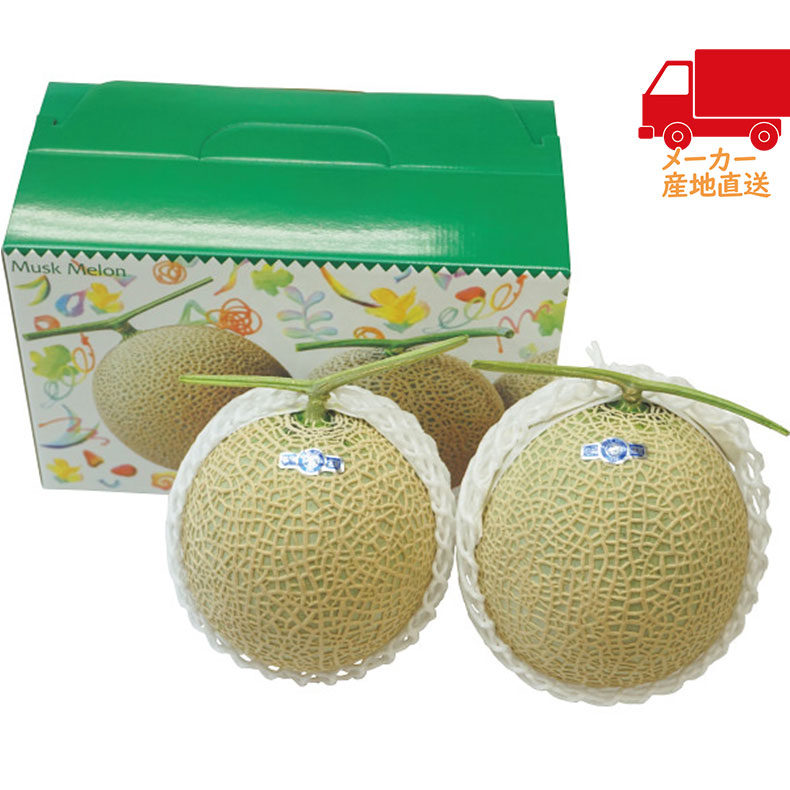 静岡県産 マスクメロン（2玉）食料品 産直農産 メロン : ふれあい