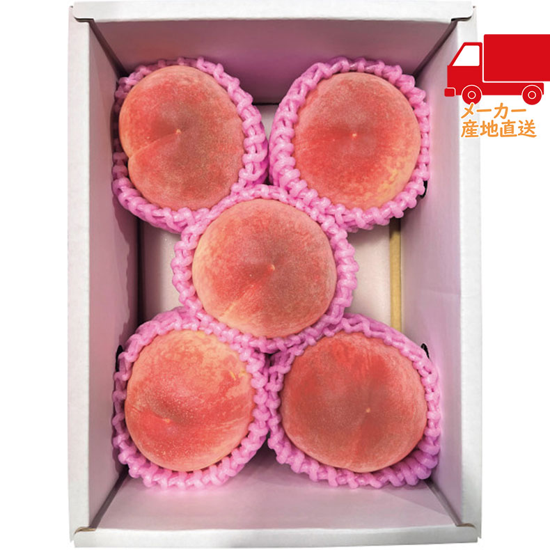 山梨県産　御坂の桃　大糖領（大玉）5〜6玉食料品 産直農産 桃