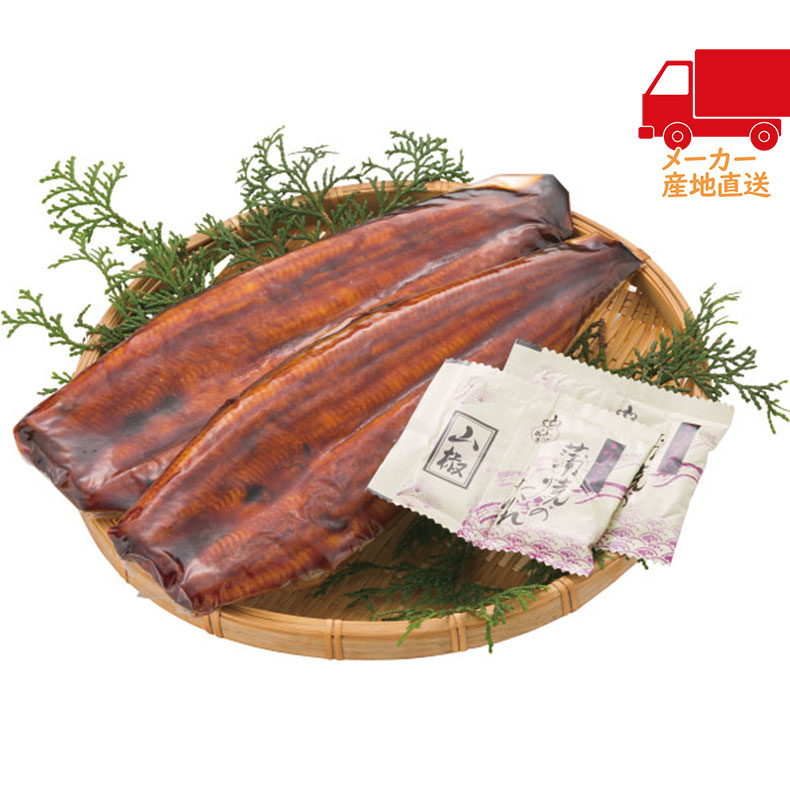 あつみ　愛知県産　うなぎ蒲焼（長焼）（2尾）食料品 産直水産 水産加工品