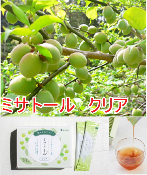 ワミレスミネラルプレミアムセット　 チョコっとバイオプレゼント ワミレスミネラルプレミアムセット チョコっとバイオプレゼント