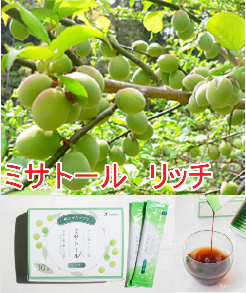 クーポン可 ポイント2倍 AdaBio アダバイオ ミサトール リッチ 30本