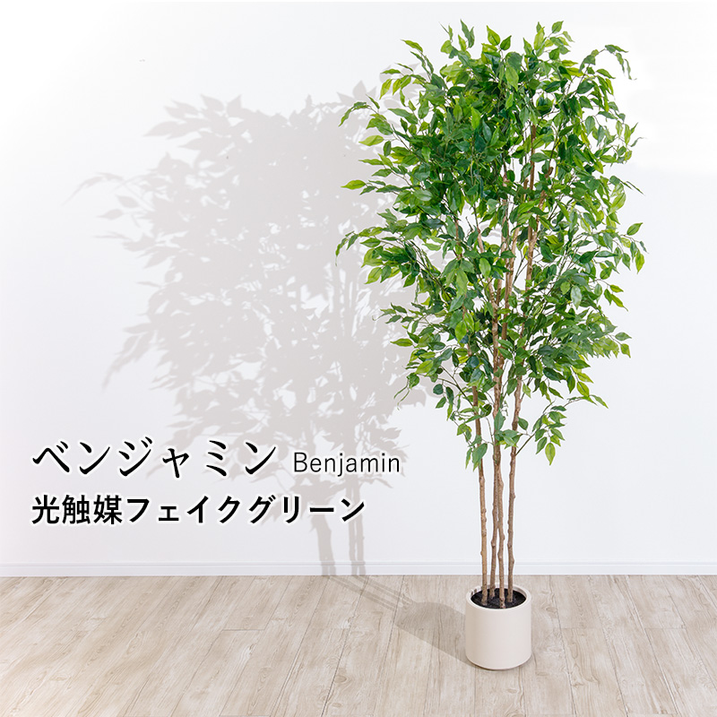 MINT ベンジャミン フェイクグリーン 光触媒フェイクグリーン 観葉植物