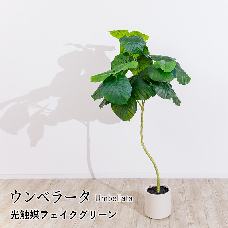 MINT ウンベラータ フェイクグリーン 光触媒 観葉植物 造花 人工観葉