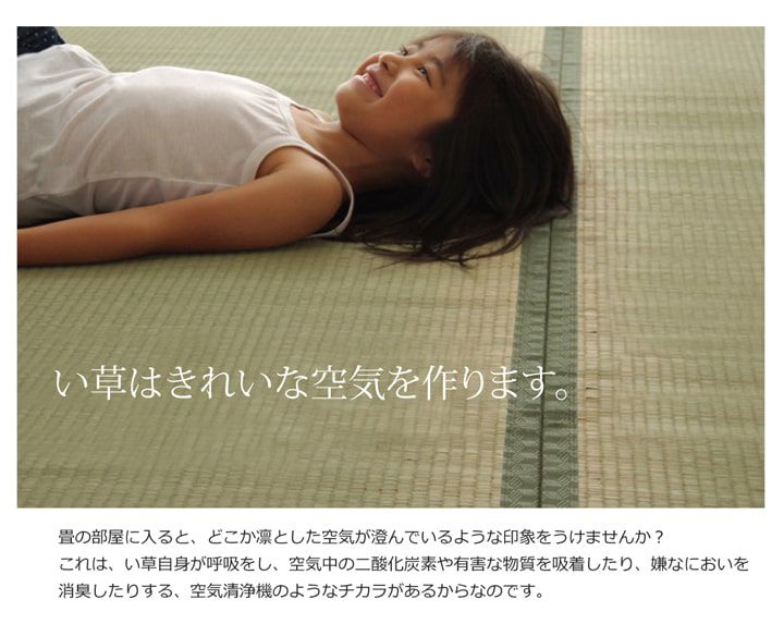 い草ラグ 夏用 本間8畳(382×382cm) 日本製 ござ_8