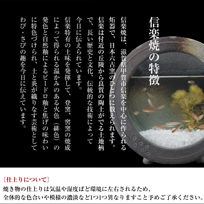 信楽焼 めだか鉢 陶器 日本製 金魚鉢 メダカ 鉢 インテリア 置物