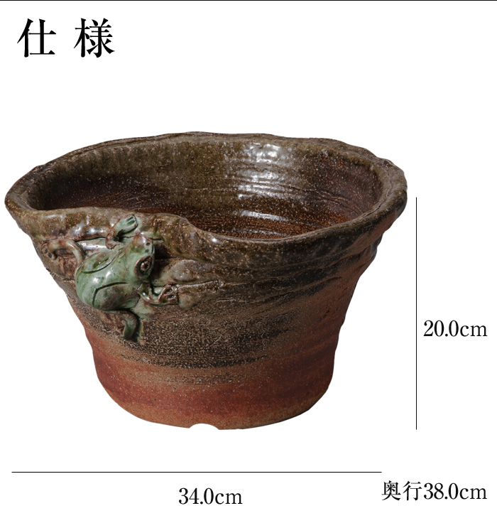 信楽焼 めだか鉢 陶器 日本製 金魚鉢 メダカ 鉢 インテリア 置物