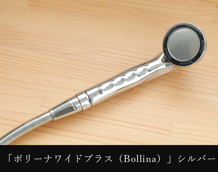 シャワーホース「SANEI」メタリックシャワーホース（ミラー